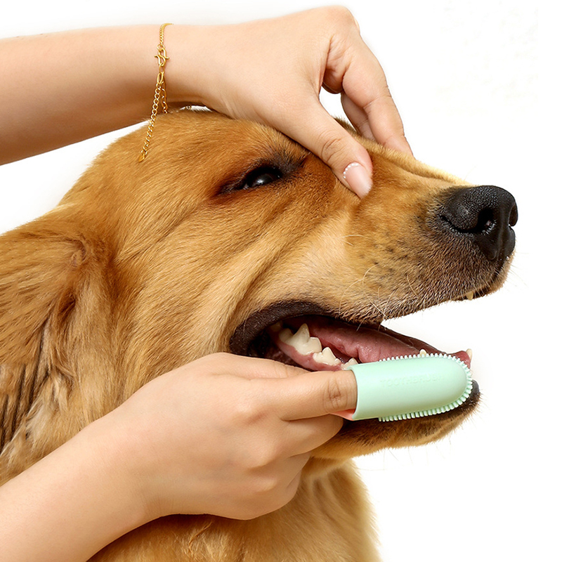 Pet Supplies Is Food - Pet Dog Ultra Soft Finger Toothbrush,