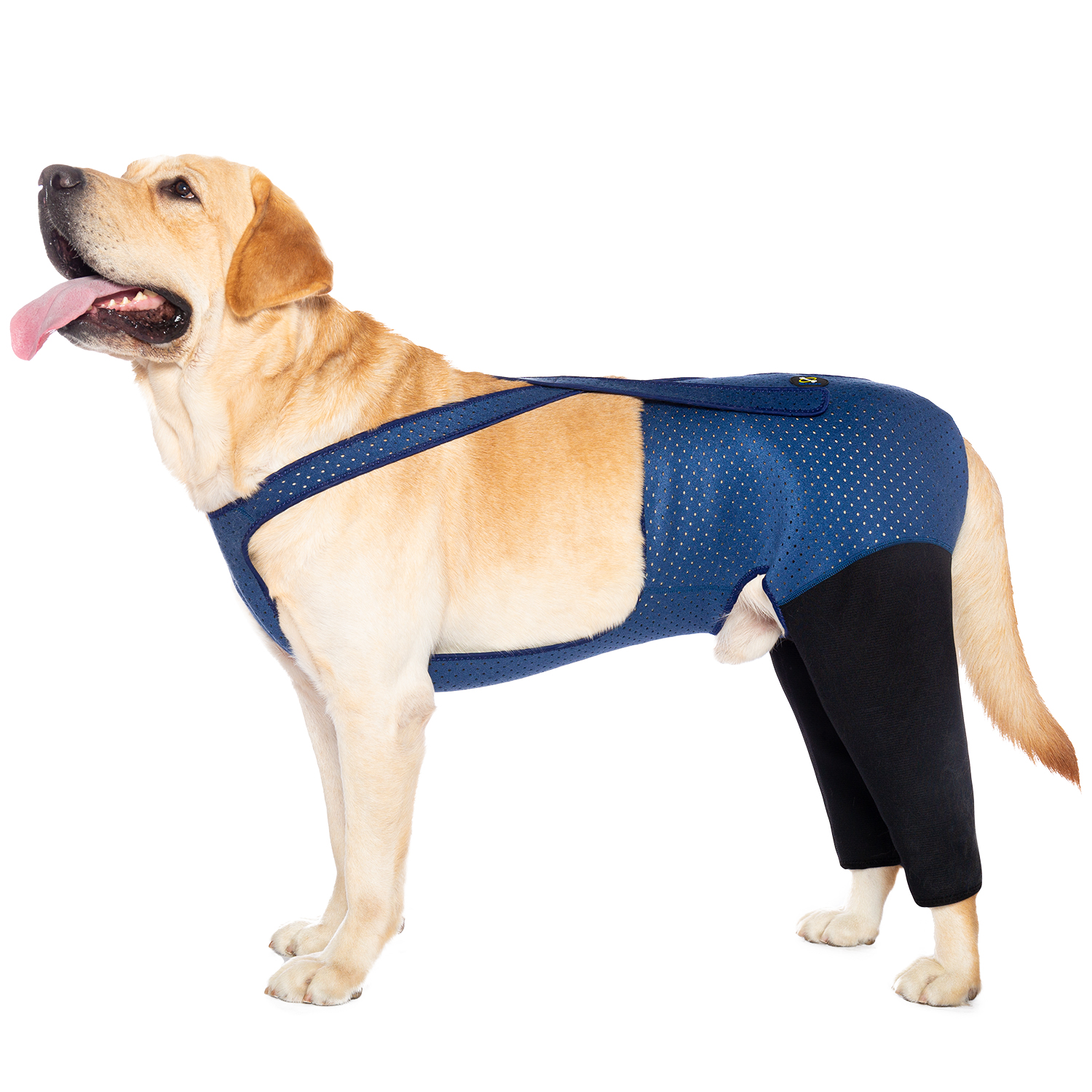 Dog Booties Paw Protector - Fashion Dog Rear Leg Booties Breathable