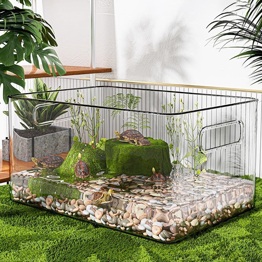 Pet Supplies Fish - 1 PC Transparent Aquatic Terrestrial Turtle