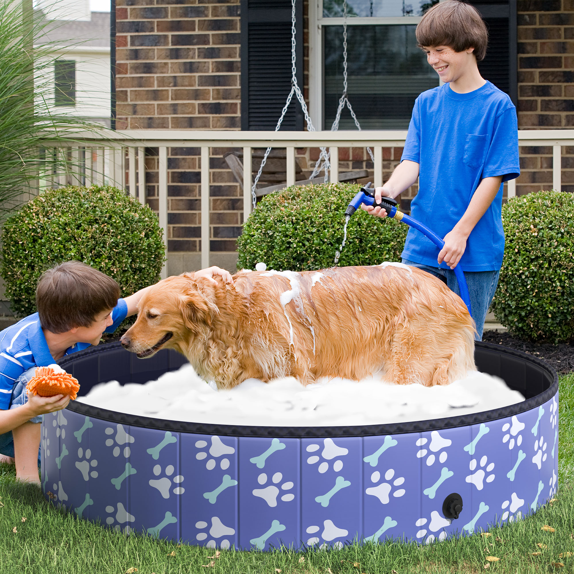 Foldable Pet Swimming Pool Eas - Pet Supplies In Store บทวิจารณ์และราคา