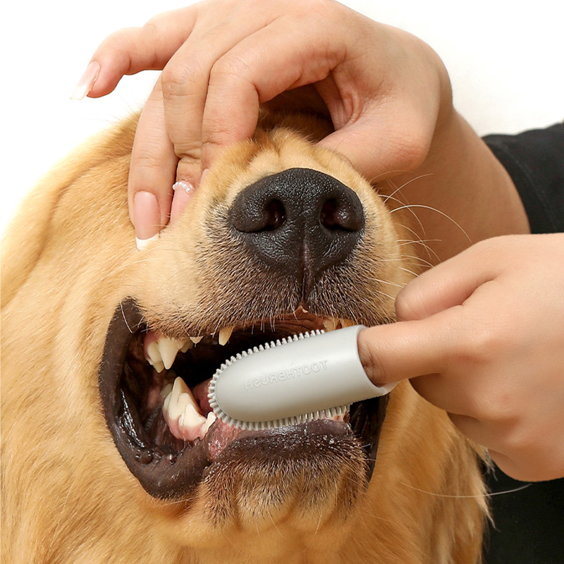 Pet Dog Ultra Soft Finger Toot - Pet Supplies Is Food บทวิจารณ์และราคา