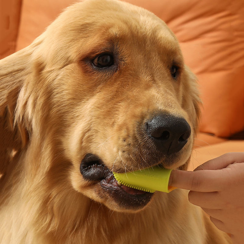 Pet Dog Ultra Soft Finger Toot - Pet Supplies Is Food บทวิจารณ์และราคา