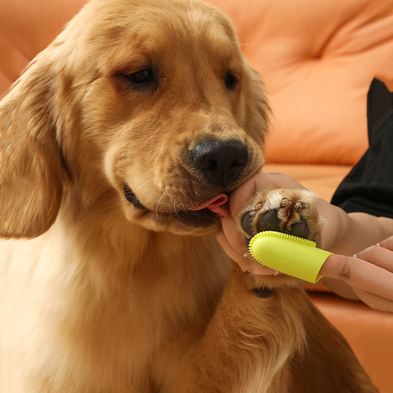 Pet Dog Ultra Soft Finger Toot - Pet Supplies Is Food บทวิจารณ์และราคา
