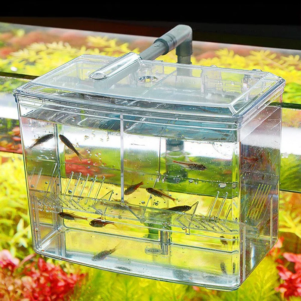Aquarium Fish Breeding Box for - Pet Supplies Fish บทวิจารณ์และราคา
