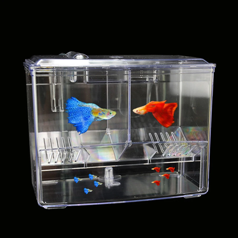 Aquarium Fish Breeding Box for - Pet Supplies Fish บทวิจารณ์และราคา