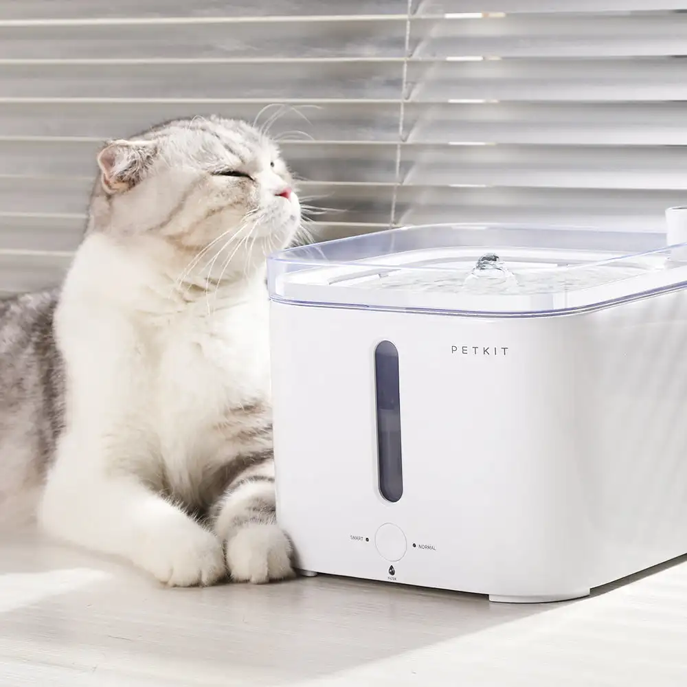 CANBOUN EVERSWEET Series Pet S - Pet Water Fountain บทวิจารณ์และราคา