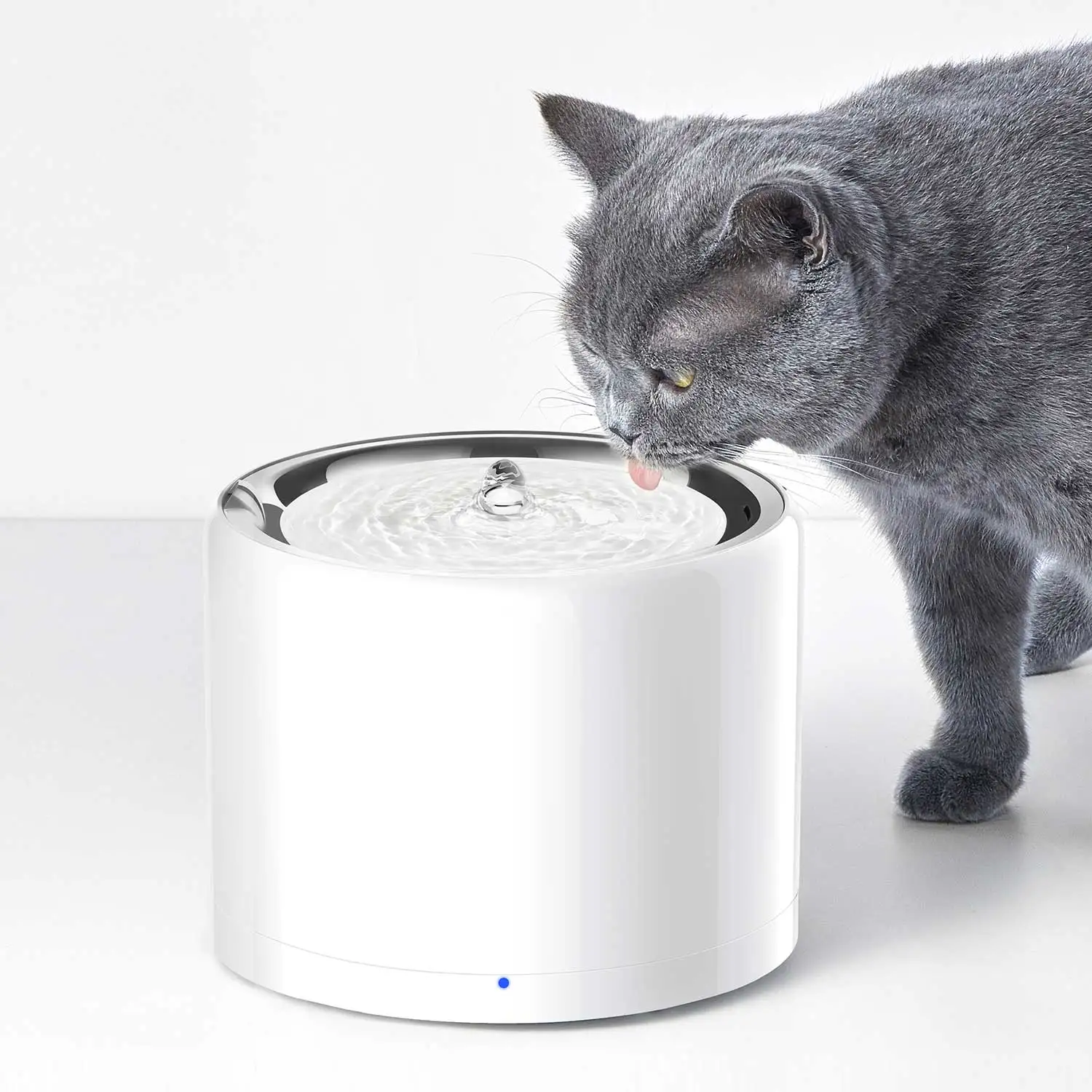 CANBOUN EVERSWEET Series Pet S - Pet Water Fountain บทวิจารณ์และราคา