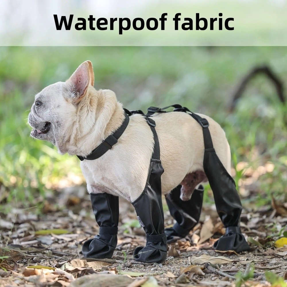Anti-fall Waterproof Dog Shoes - Dog Booties Paw Protector บทวิจารณ์และราคา