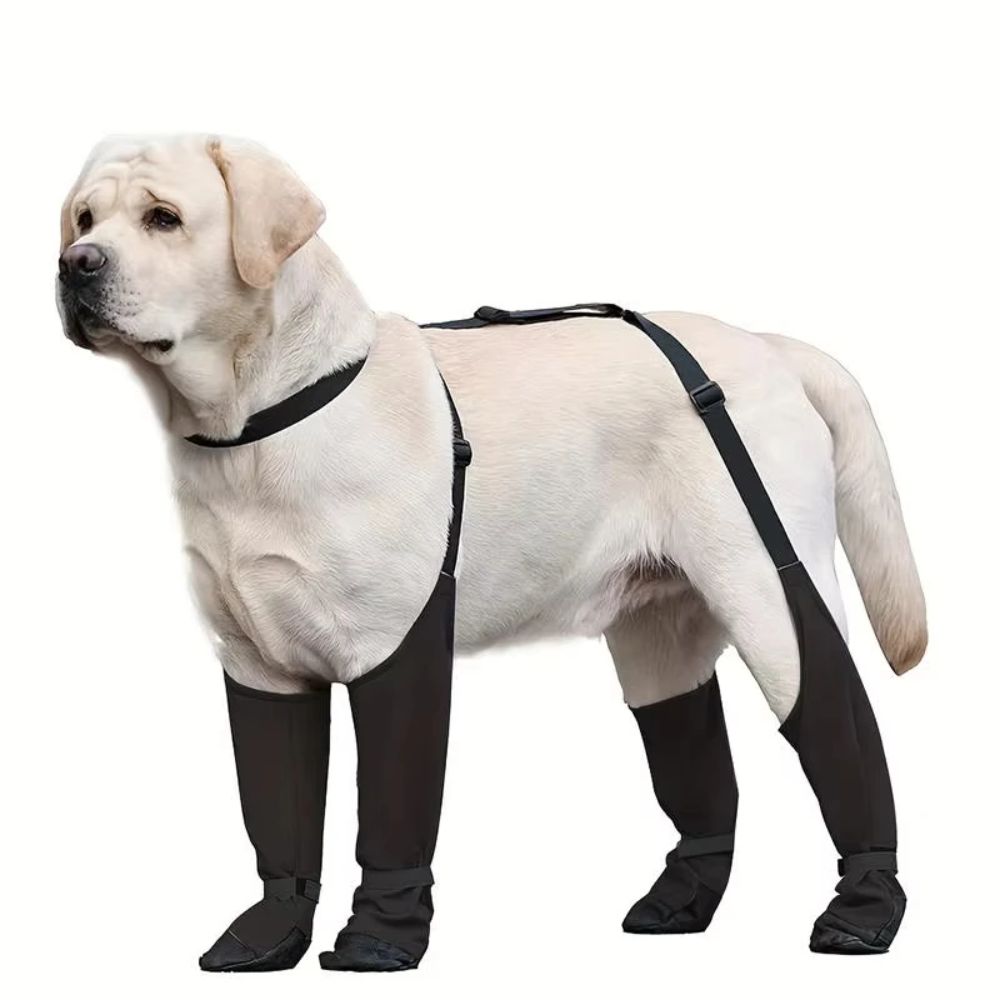 Anti-fall Waterproof Dog Shoes - Dog Booties Paw Protector บทวิจารณ์และราคา