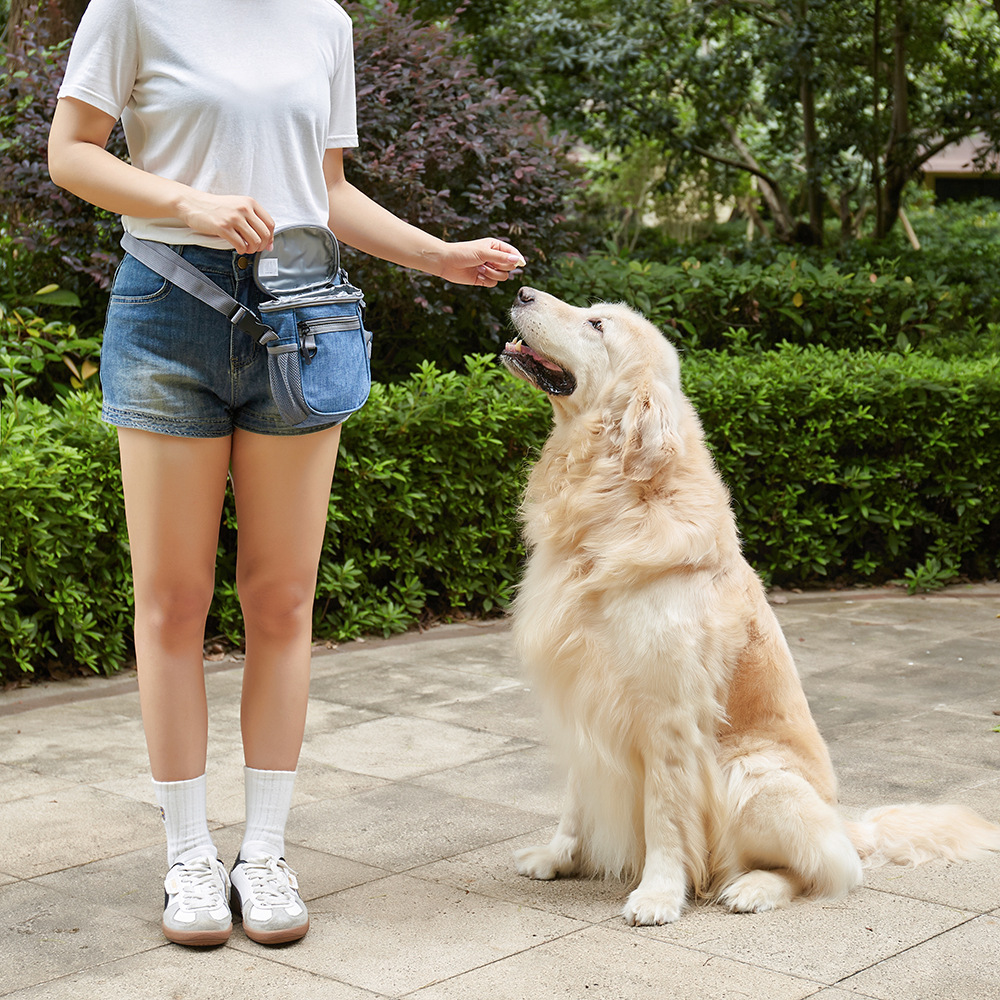 Pet Training Bag for Going Out - Pet Supplies Is Food บทวิจารณ์และราคา