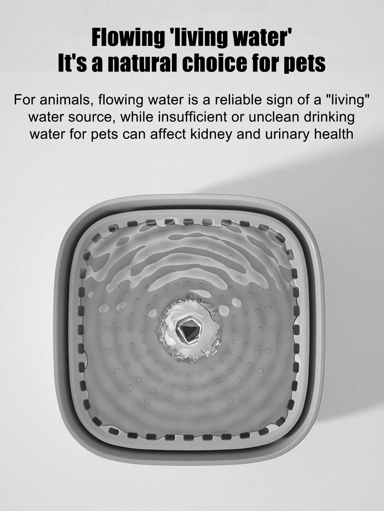 New Automatic Cat Water Founta - Pet Water Fountain บทวิจารณ์และราคา