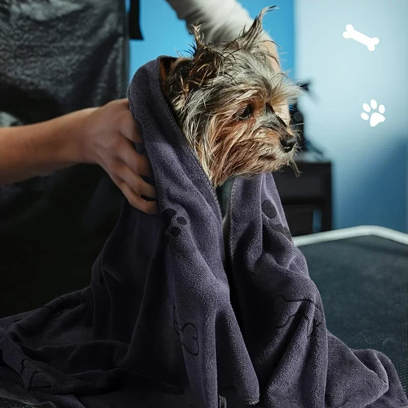 Quick-drying and Absorbent for - Pet Supplies In Store บทวิจารณ์และราคา