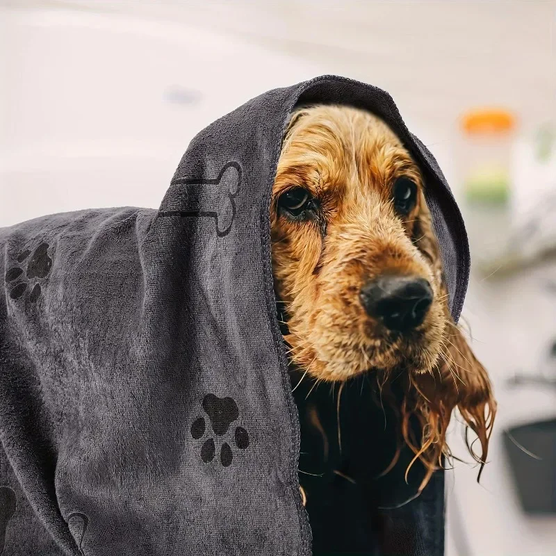 Quick-drying and Absorbent for - Pet Supplies In Store บทวิจารณ์และราคา