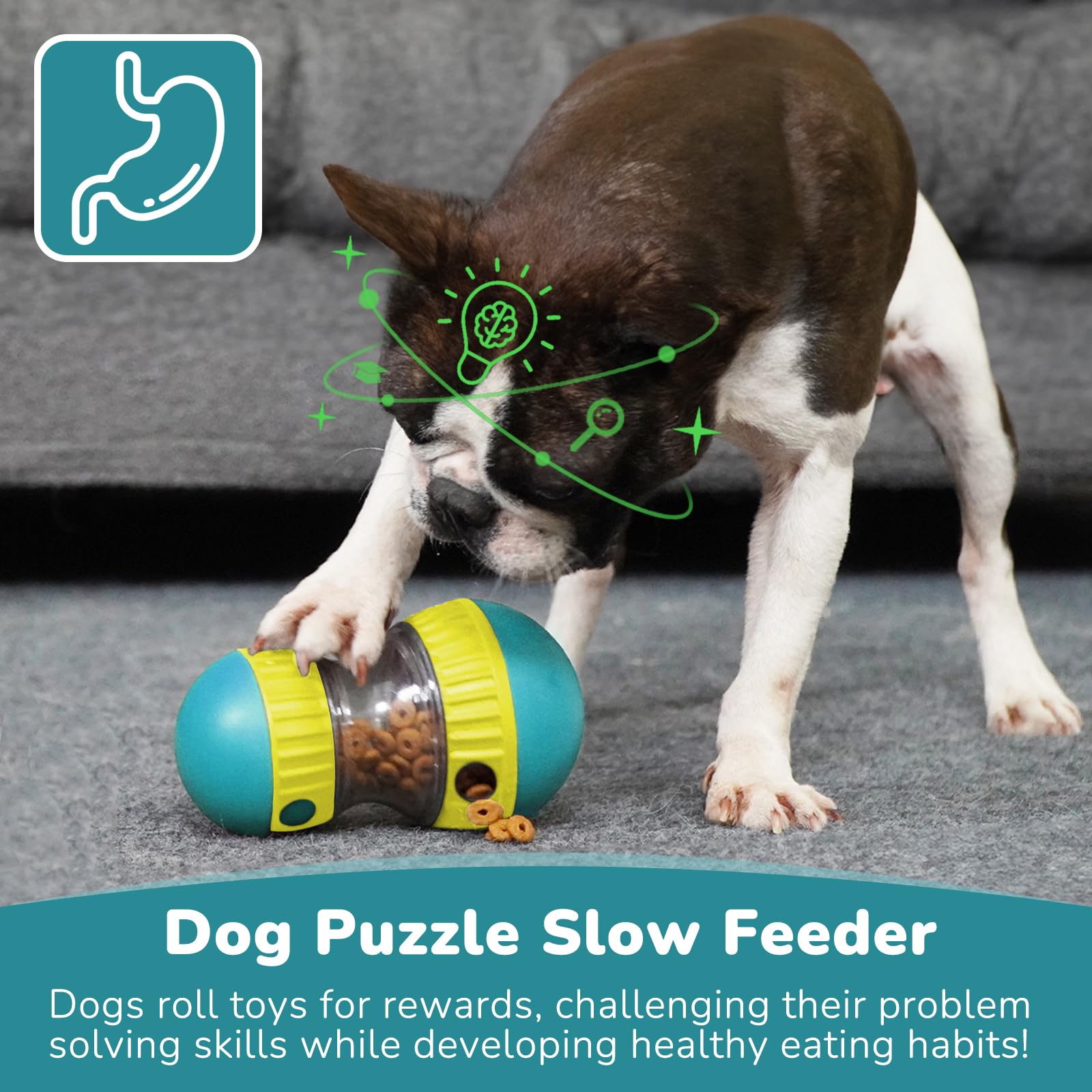 Dog Toys & Adjustable Slow Fee - Dog Treat Puzzle Toy บทวิจารณ์และราคา