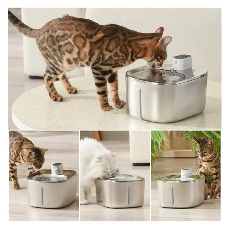 Stainless Steel Pet Water Bowl - Pet Water Fountain บทวิจารณ์และราคา