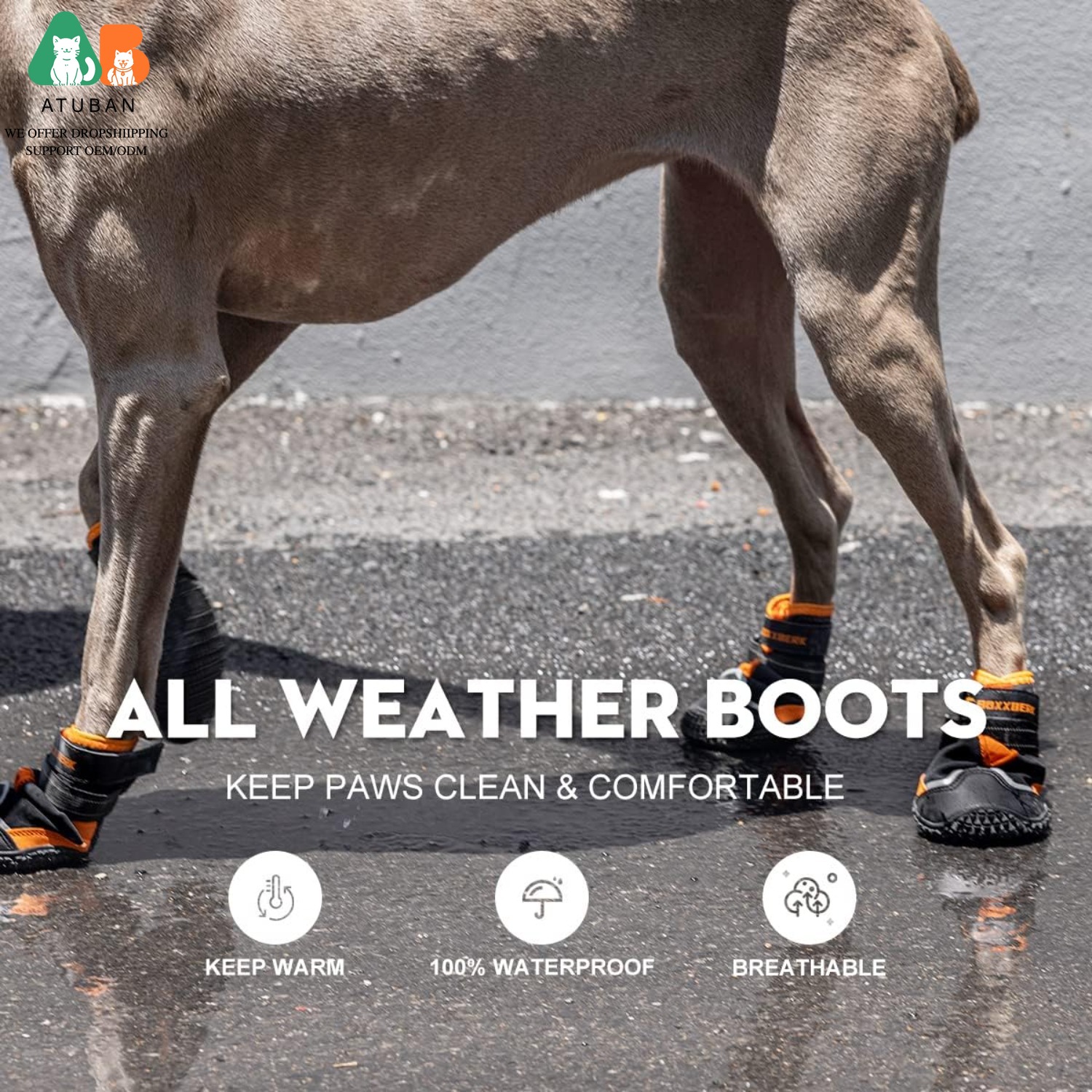 ATUBAN Dog Shoes for Dogs,Wate - Dog Booties Paw Protector บทวิจารณ์และราคา