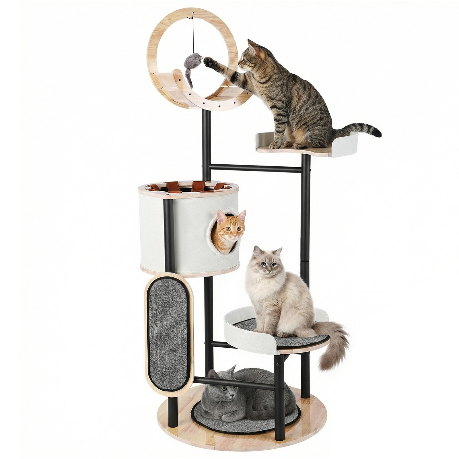 66-Inch Cat Tree with Scratchi - Pet X Supplies & Tack บทวิจารณ์และราคา
