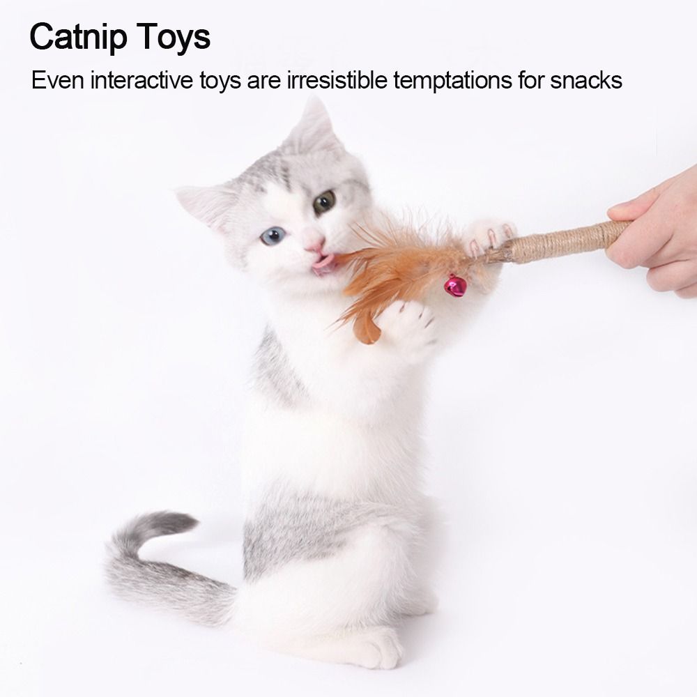 Cat  Silvervine Cat Nip Chew   - Catnip Toys บทวิจารณ์และราคา