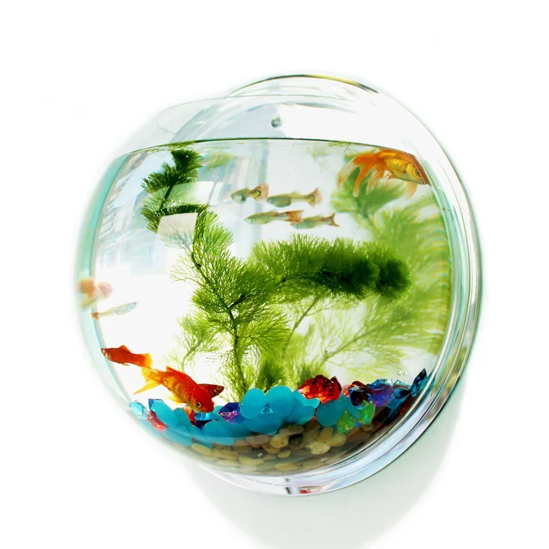 Acrylic Fish Bowl Wall Hanging - Pet Supplies Fish บทวิจารณ์และราคา