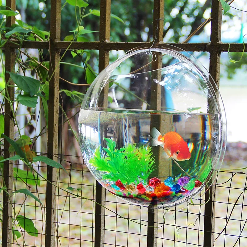 Acrylic Fish Bowl Wall Hanging - Pet Supplies Fish บทวิจารณ์และราคา