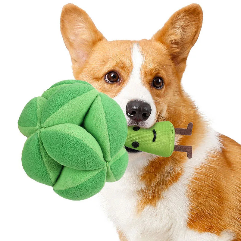 Snuffle Broccoli Dog Puzzle To - Dog Treat Puzzle Toy บทวิจารณ์และราคา