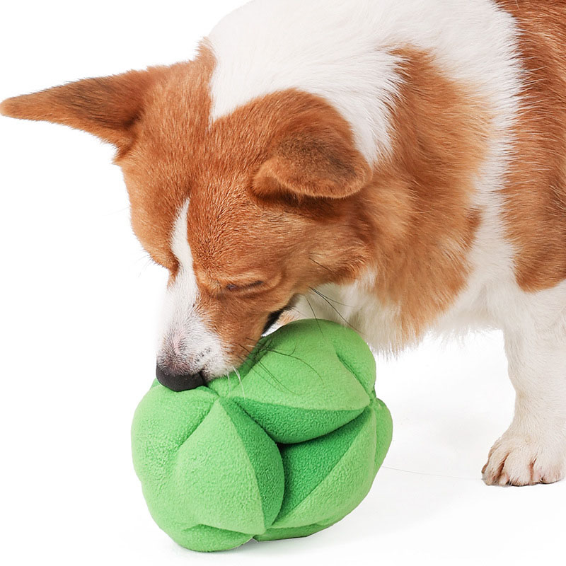Snuffle Broccoli Dog Puzzle To - Dog Treat Puzzle Toy บทวิจารณ์และราคา