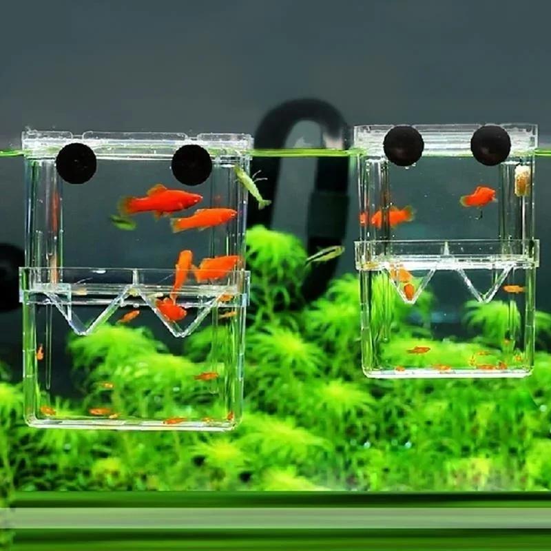 Transparent Fish Aquarium High - Pet Supplies Fish บทวิจารณ์และราคา