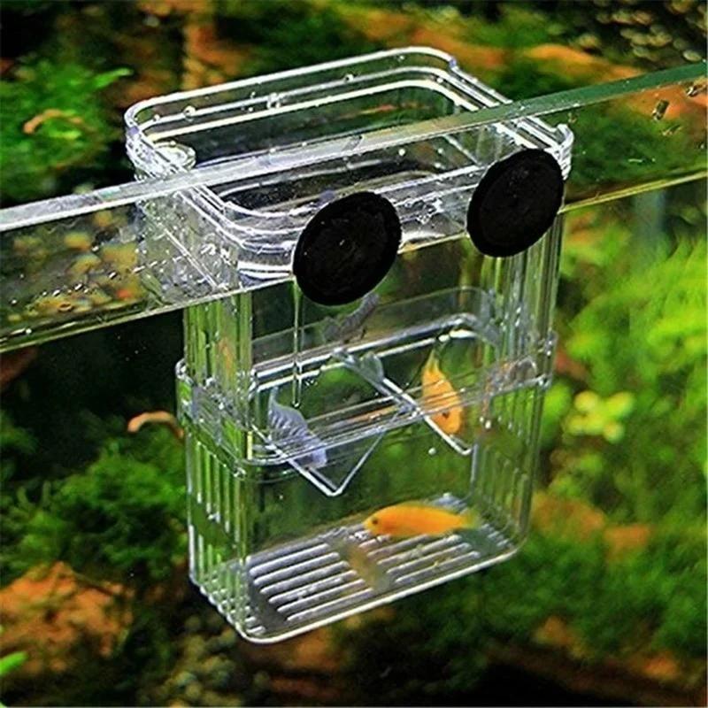 Transparent Fish Aquarium High - Pet Supplies Fish บทวิจารณ์และราคา