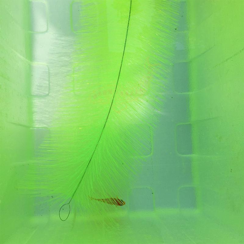 Breeding Grass for Koi Fish Eg - Pet Supplies Fish บทวิจารณ์และราคา