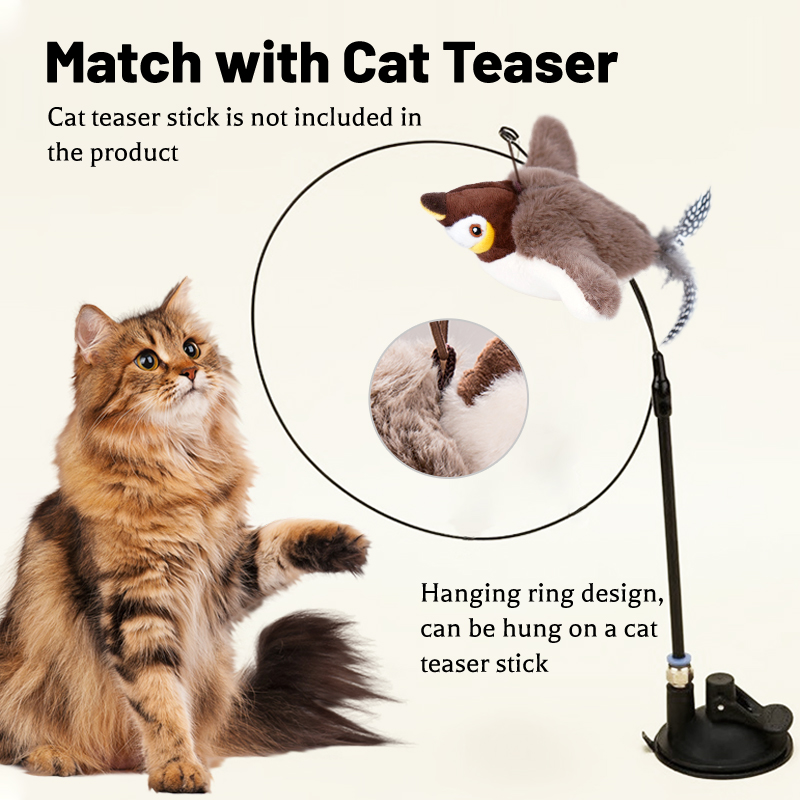 1PC Interactive Cat Toys Recha - Catnip Toys บทวิจารณ์และราคา