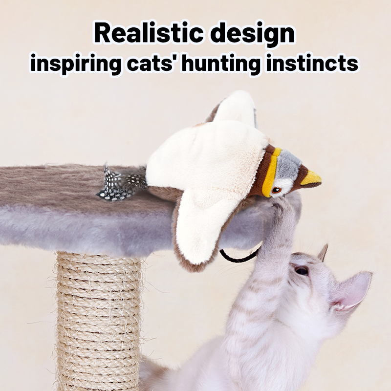 1PC Interactive Cat Toys Recha - Catnip Toys บทวิจารณ์และราคา