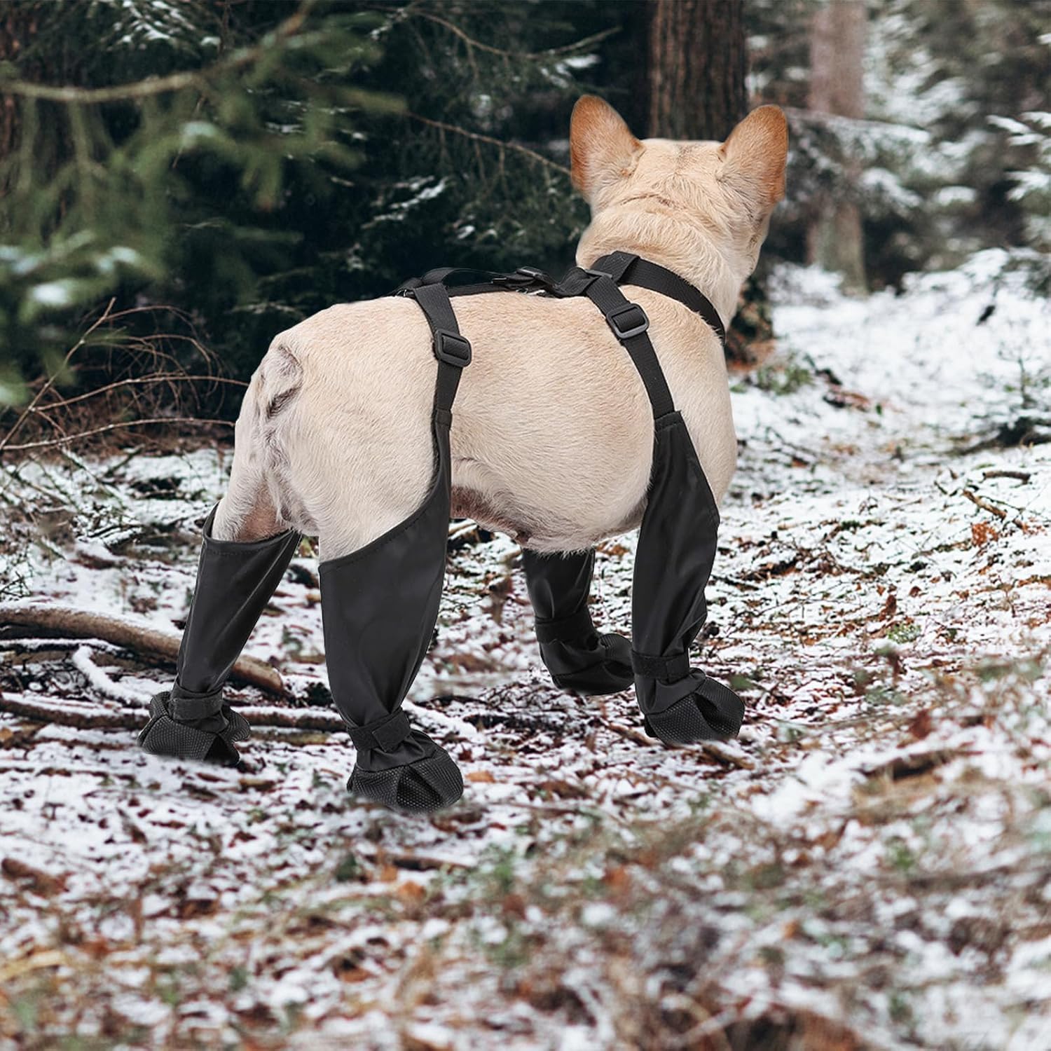 Dog Suspender Boots Waterproof - Dog Booties Paw Protector บทวิจารณ์และราคา
