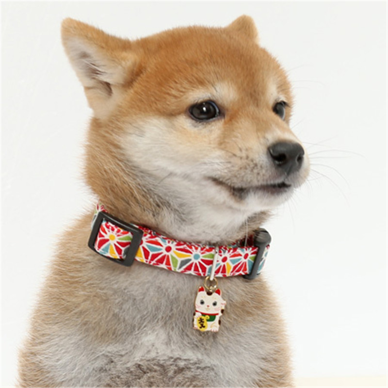 White Pig Store My Dog's Uniqu - Pet Supplies In Store บทวิจารณ์และราคา