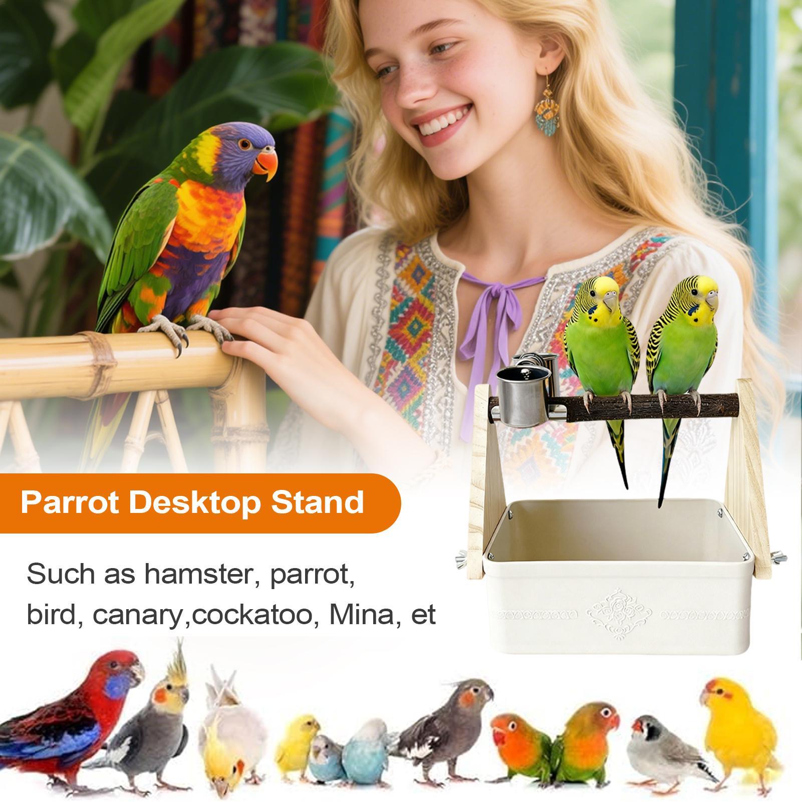 Bird Tabletop Perch Lovebirds  - Pet Supplies Zoo บทวิจารณ์และราคา
