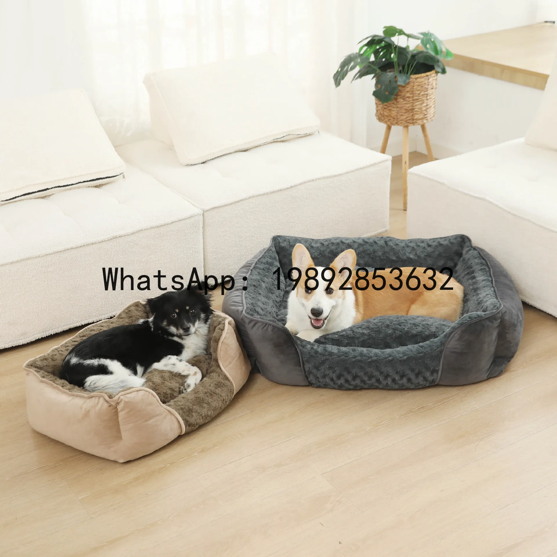 X cat house semi-enclosed dog  - Pet X Supplies & Tack บทวิจารณ์และราคา