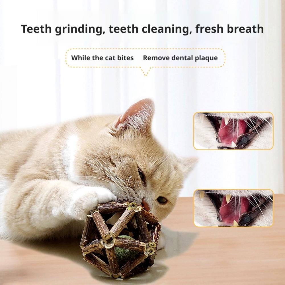 Catnip Ball Cat Interactive To - Catnip Toys บทวิจารณ์และราคา
