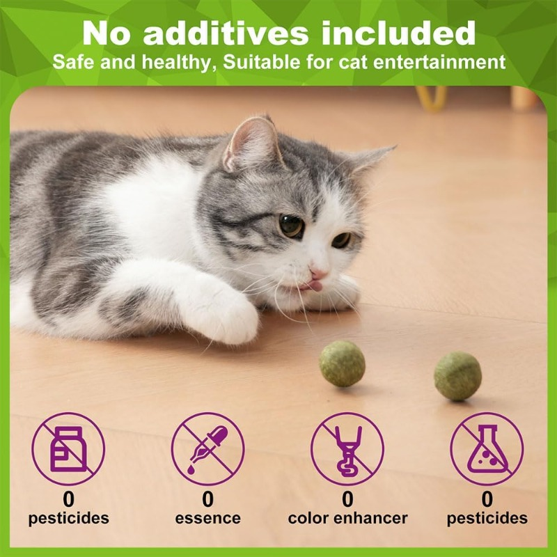 5/10/20Pcs Natural Catnip Ball - Catnip Toys บทวิจารณ์และราคา
