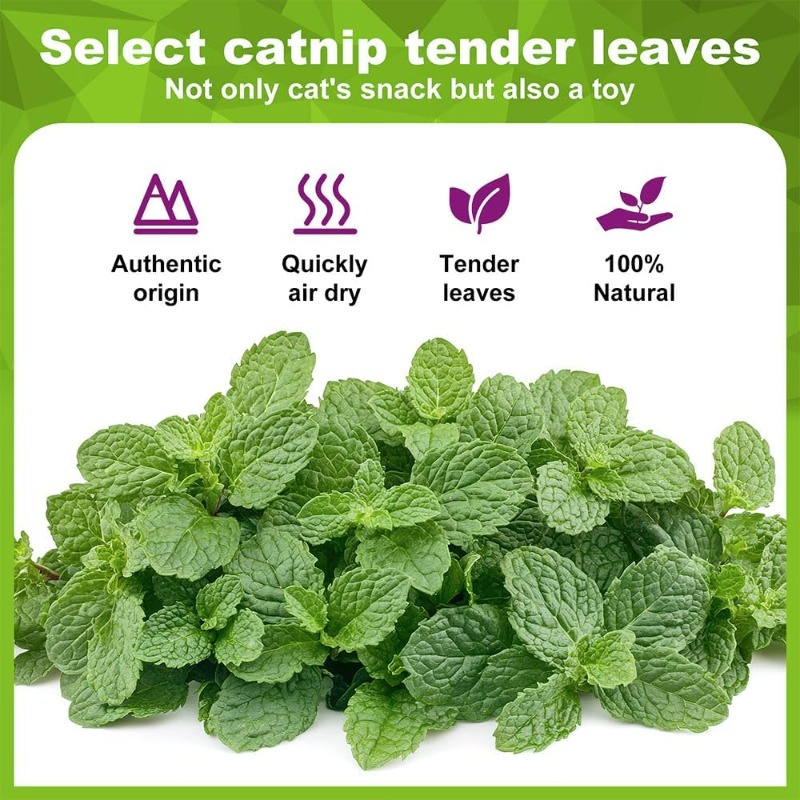 5/10/20Pcs Natural Catnip Ball - Catnip Toys บทวิจารณ์และราคา