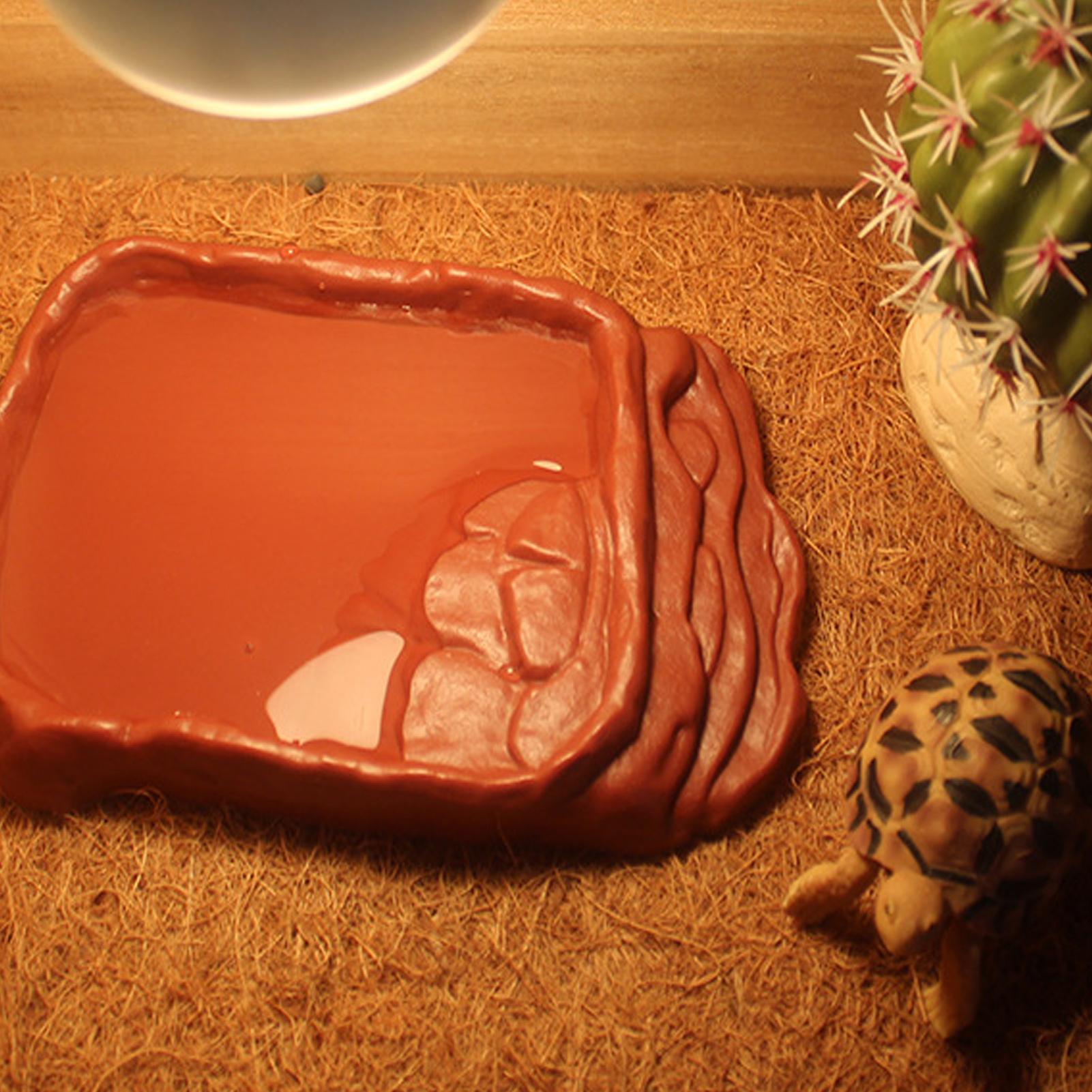 Turtle Water Dish With Anti-Sl - Pet Supplies Is Food บทวิจารณ์และราคา