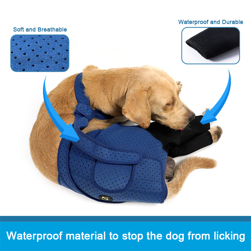 Fashion Dog Rear Leg Booties B - Dog Booties Paw Protector บทวิจารณ์และราคา