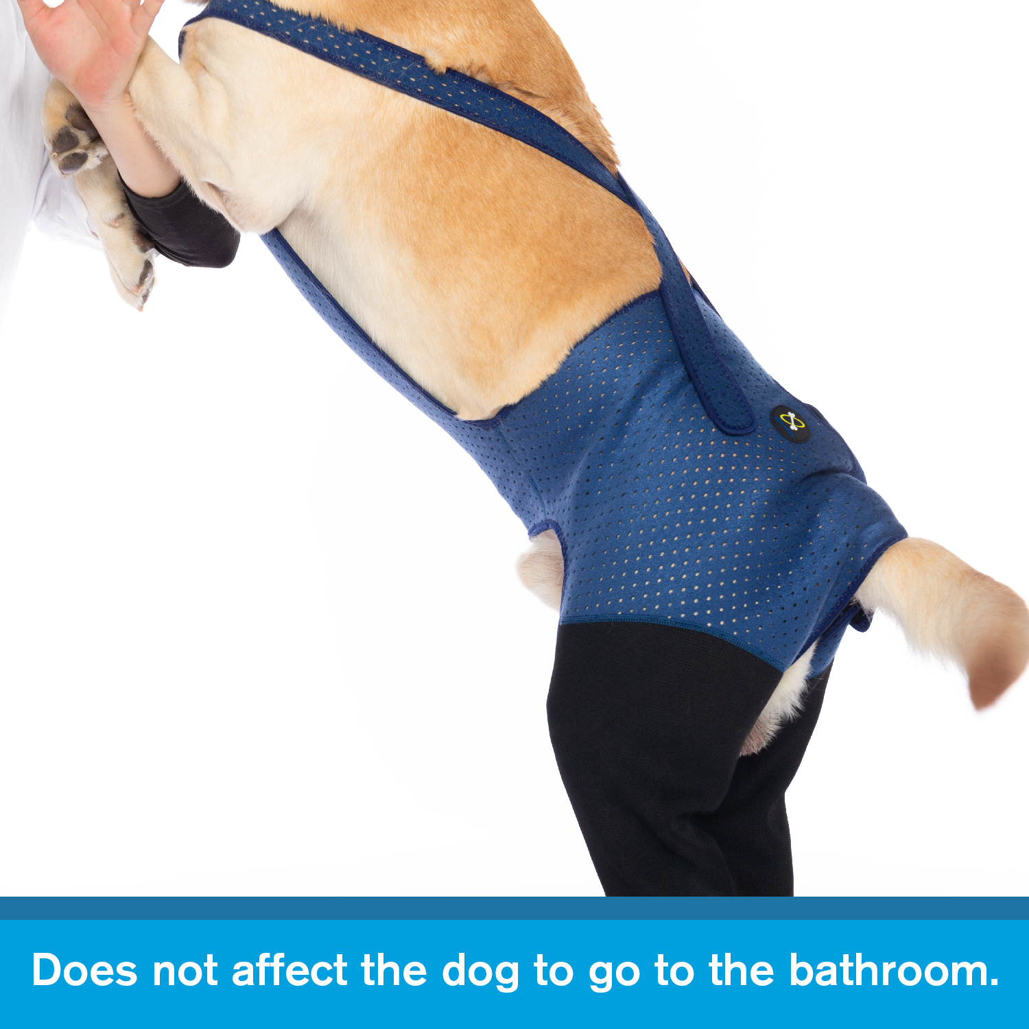 Fashion Dog Rear Leg Booties B - Dog Booties Paw Protector บทวิจารณ์และราคา