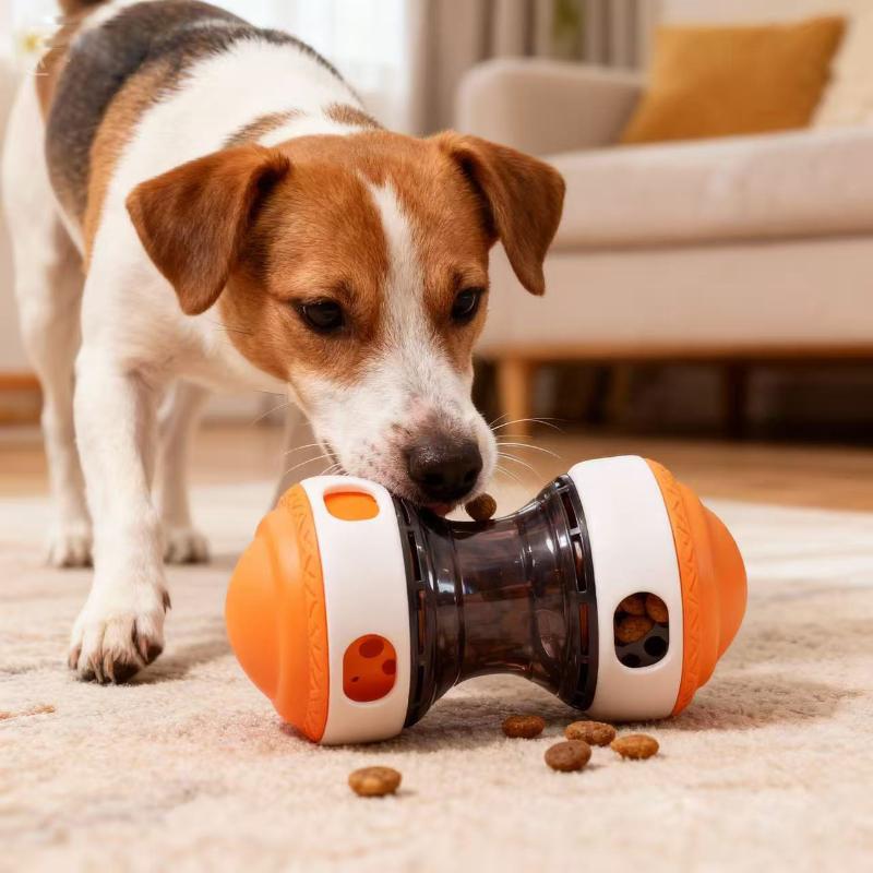1Pcs Chew Tooth Healthy Ball S - Dog Treat Puzzle Toy บทวิจารณ์และราคา
