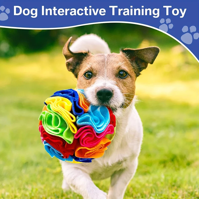 Interactive Dog Toys Snuffle B - Dog Treat Puzzle Toy บทวิจารณ์และราคา