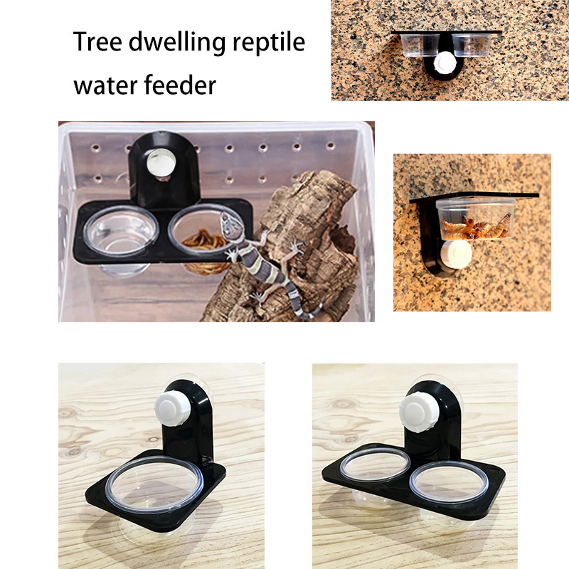 Reptile Tank Accessories Insec - Pet Supplies Is Food บทวิจารณ์และราคา