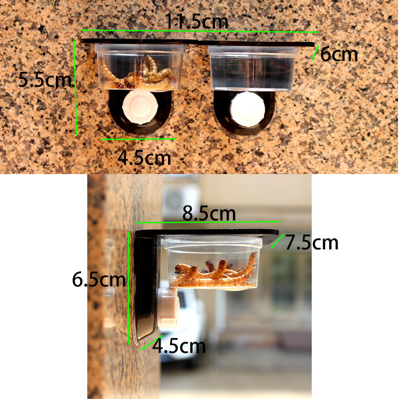 Reptile Tank Accessories Insec - Pet Supplies Is Food บทวิจารณ์และราคา