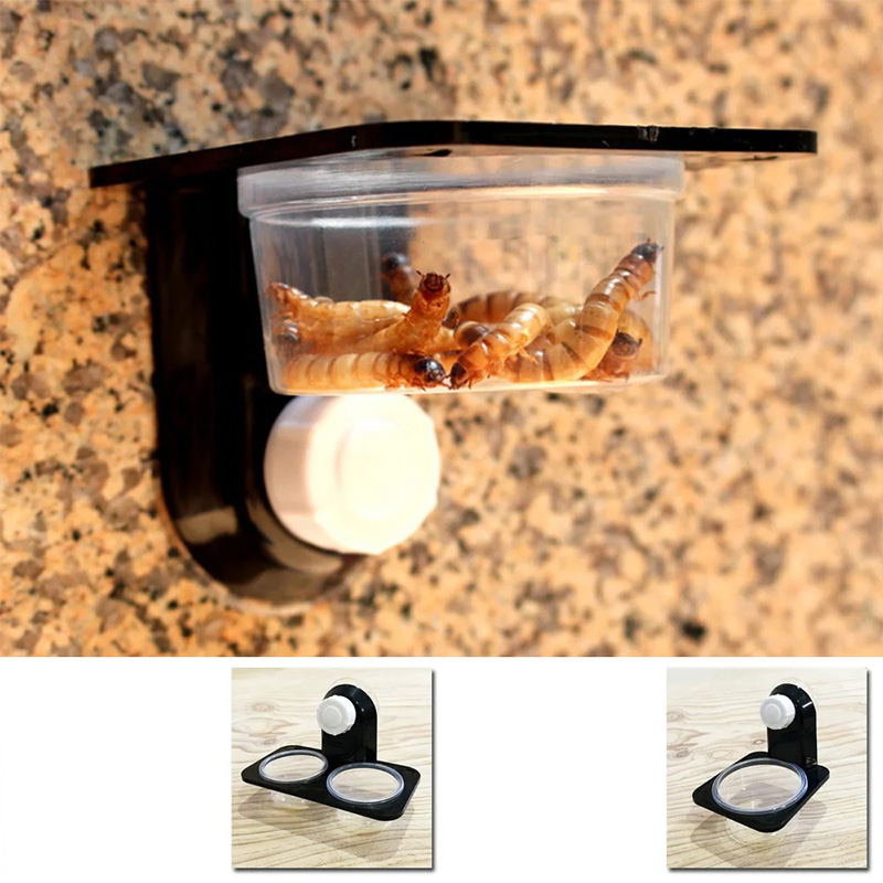Reptile Tank Accessories Insec - Pet Supplies Is Food บทวิจารณ์และราคา