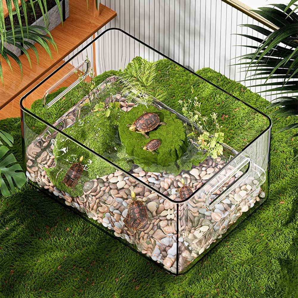 1 PC Transparent Aquatic Terre - Pet Supplies Fish บทวิจารณ์และราคา