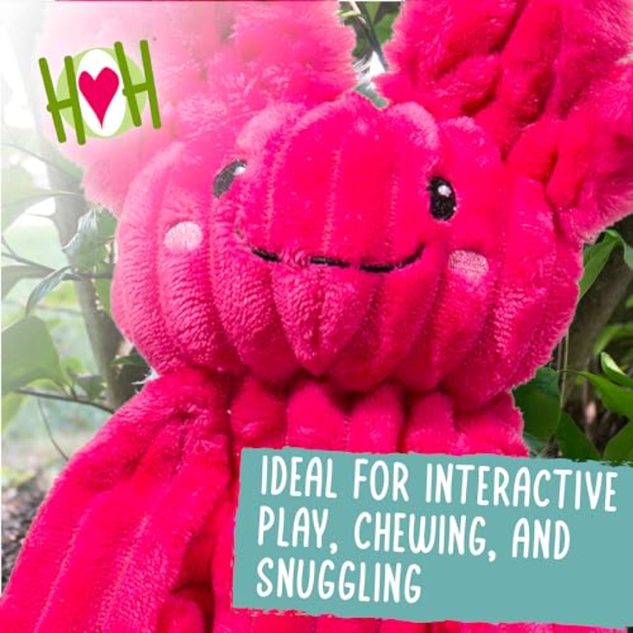 X-Brace Squeaky Dog Toy - Inte - Pet X Supplies & Tack บทวิจารณ์และราคา