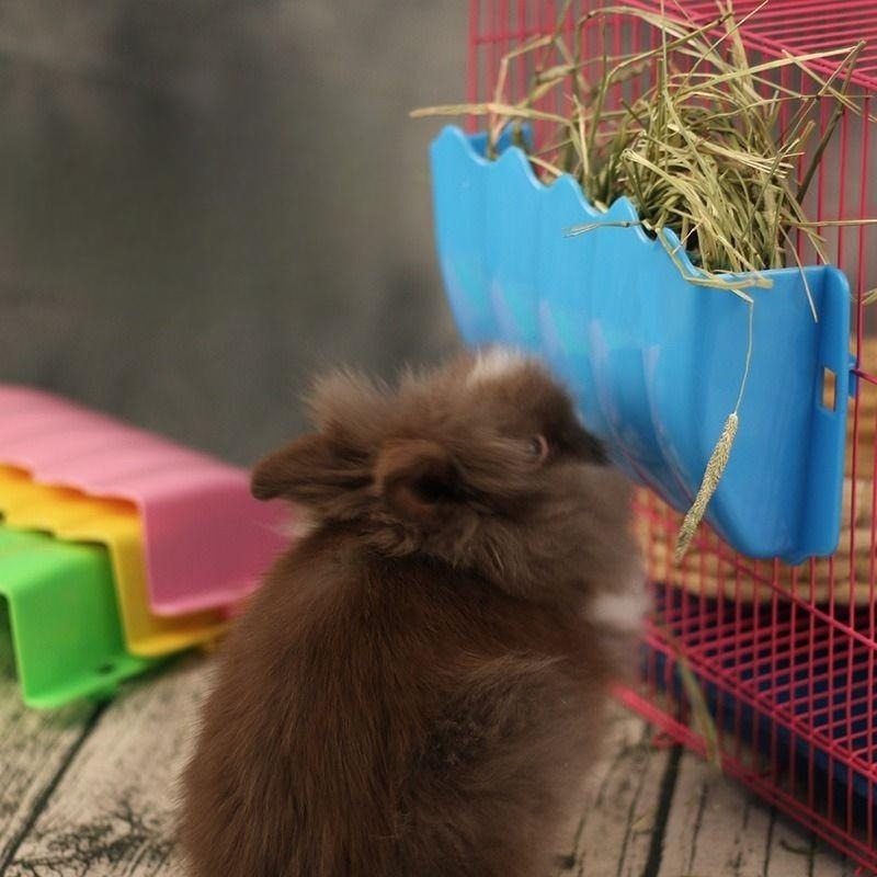 Rabbit Hay Feeder Hanging Guin - Pet Supplies Is Food บทวิจารณ์และราคา