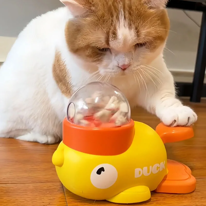 Dog, cat, pet feeder, little y - Dog Treat Puzzle Toy บทวิจารณ์และราคา
